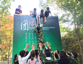 团队协作